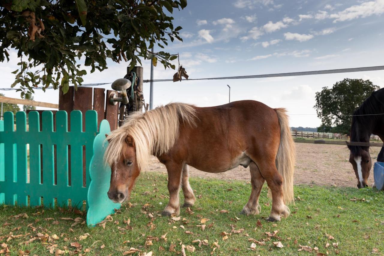 MontjavoultLa Ferme Des Nonainsアパートメント エクステリア 写真