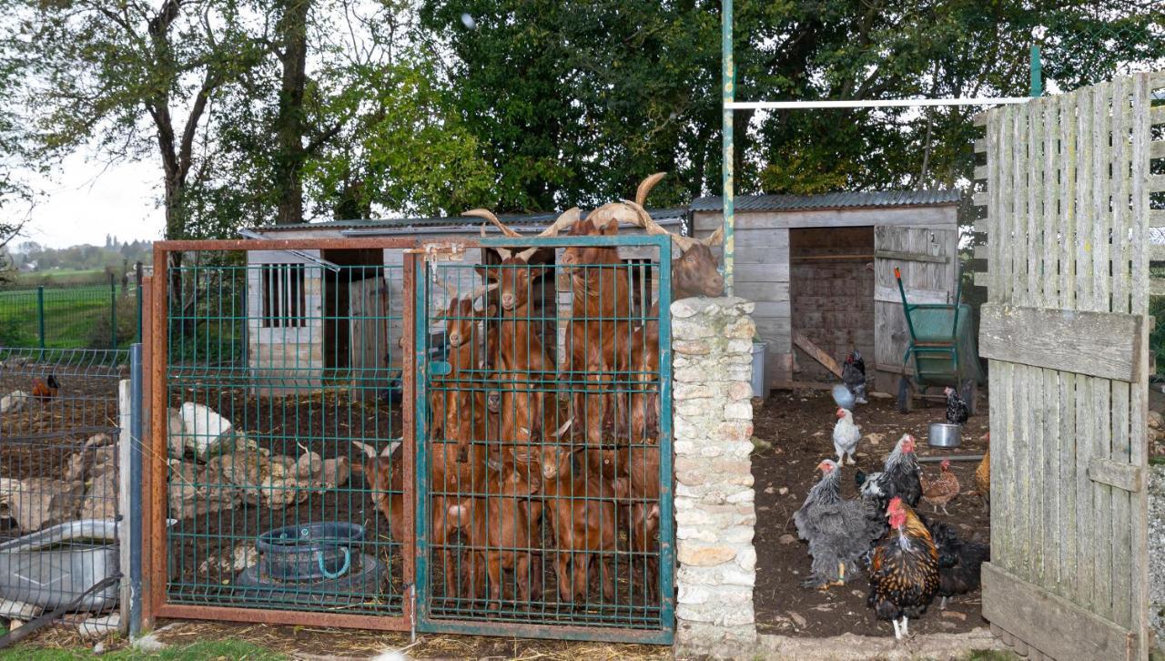 MontjavoultLa Ferme Des Nonainsアパートメント エクステリア 写真